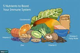 Nutrients needed to increase your immune system